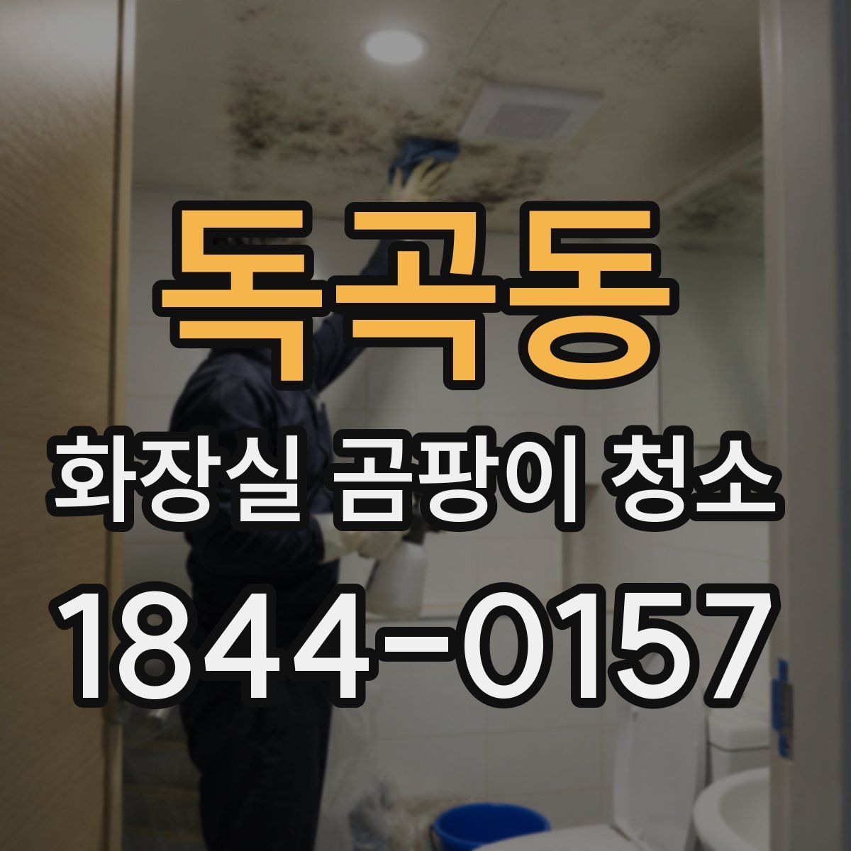 독곡동 화장실 곰팡이 청소