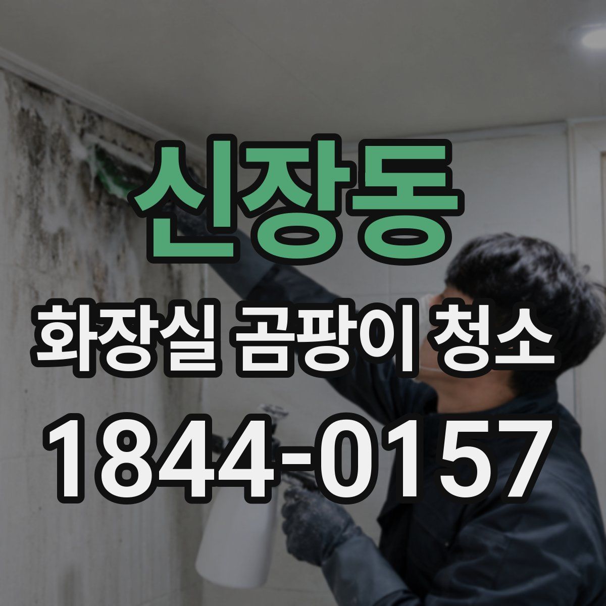 신장동 화장실 곰팡이 청소