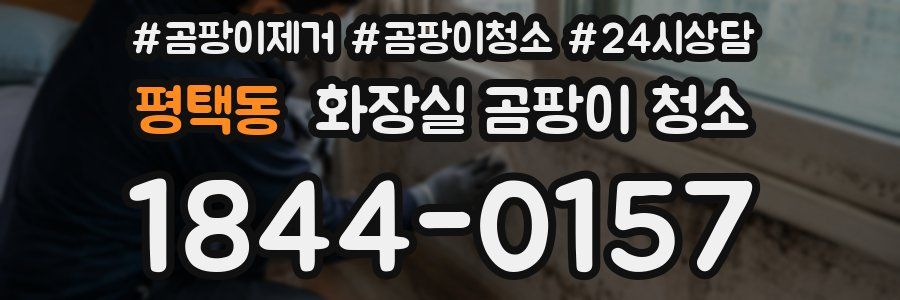 평택동 화장실 곰팡이 청소
