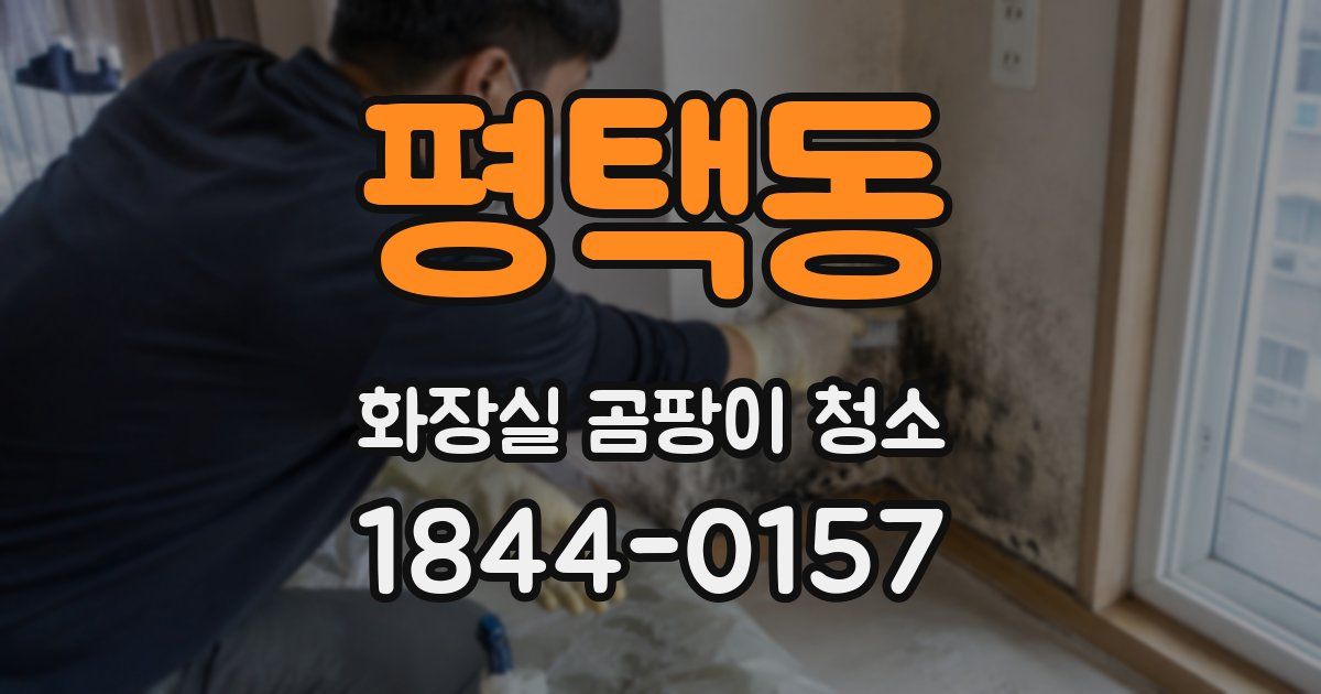 평택동 화장실 곰팡이 청소