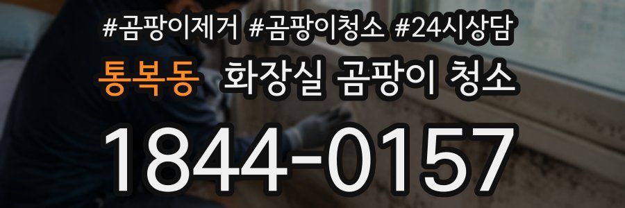 통복동 화장실 곰팡이 청소