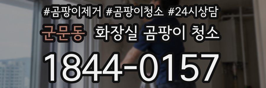 군문동 화장실 곰팡이 청소