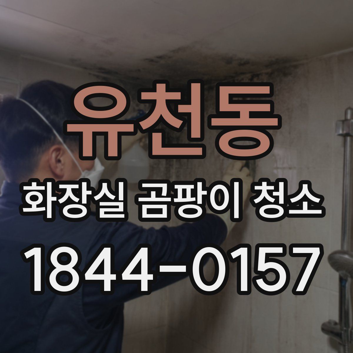 유천동 화장실 곰팡이 청소