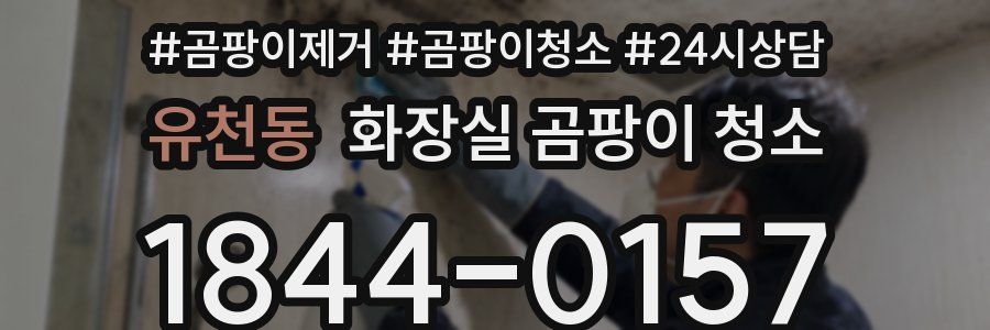 유천동 화장실 곰팡이 청소