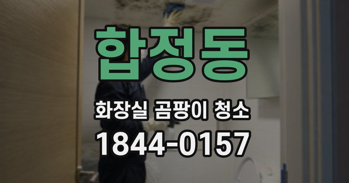 합정동 화장실 곰팡이 청소