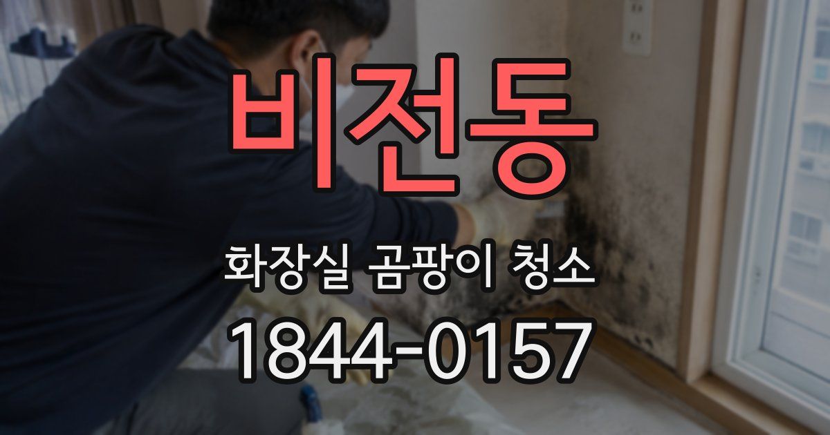 비전동 화장실 곰팡이 청소