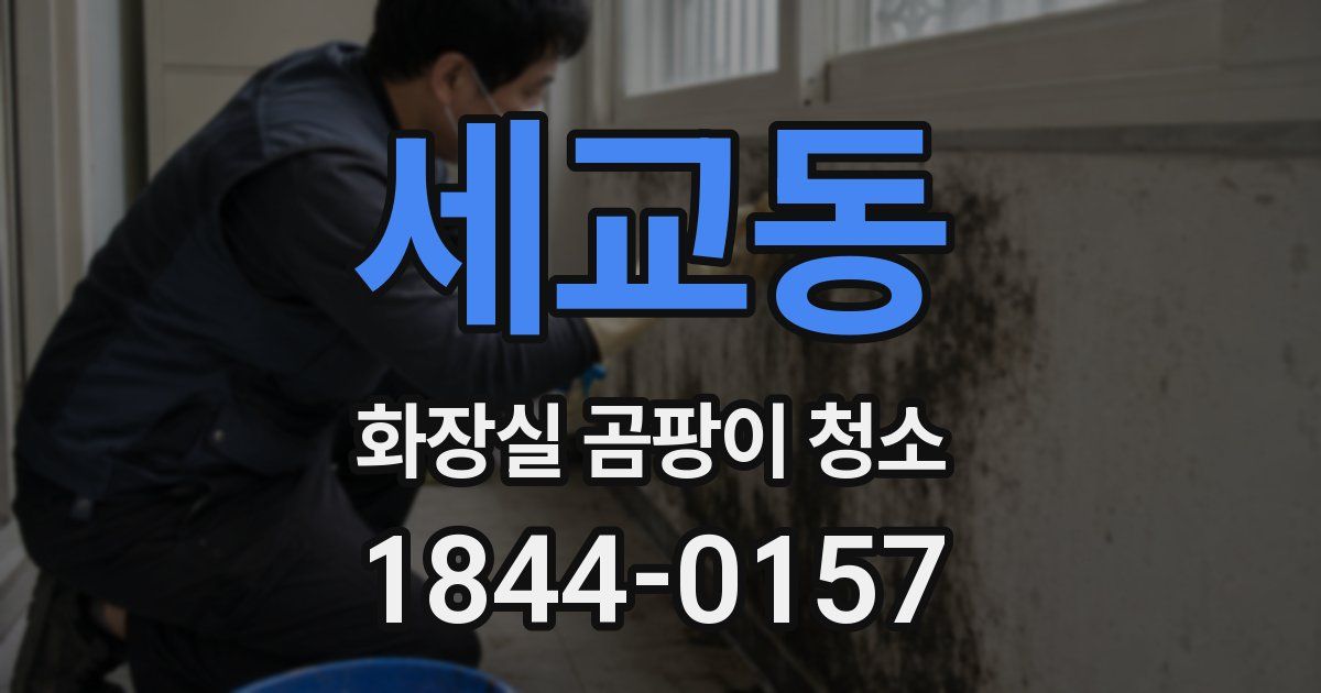 세교동 화장실 곰팡이 청소