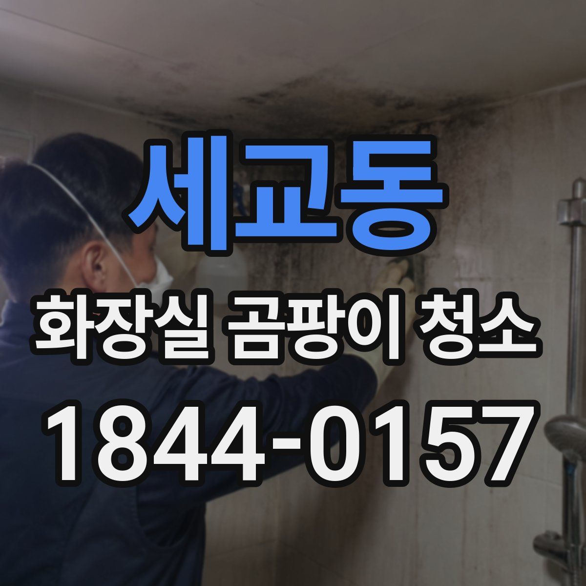 세교동 화장실 곰팡이 청소