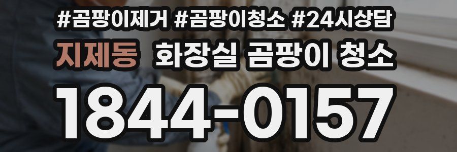 지제동 화장실 곰팡이 청소