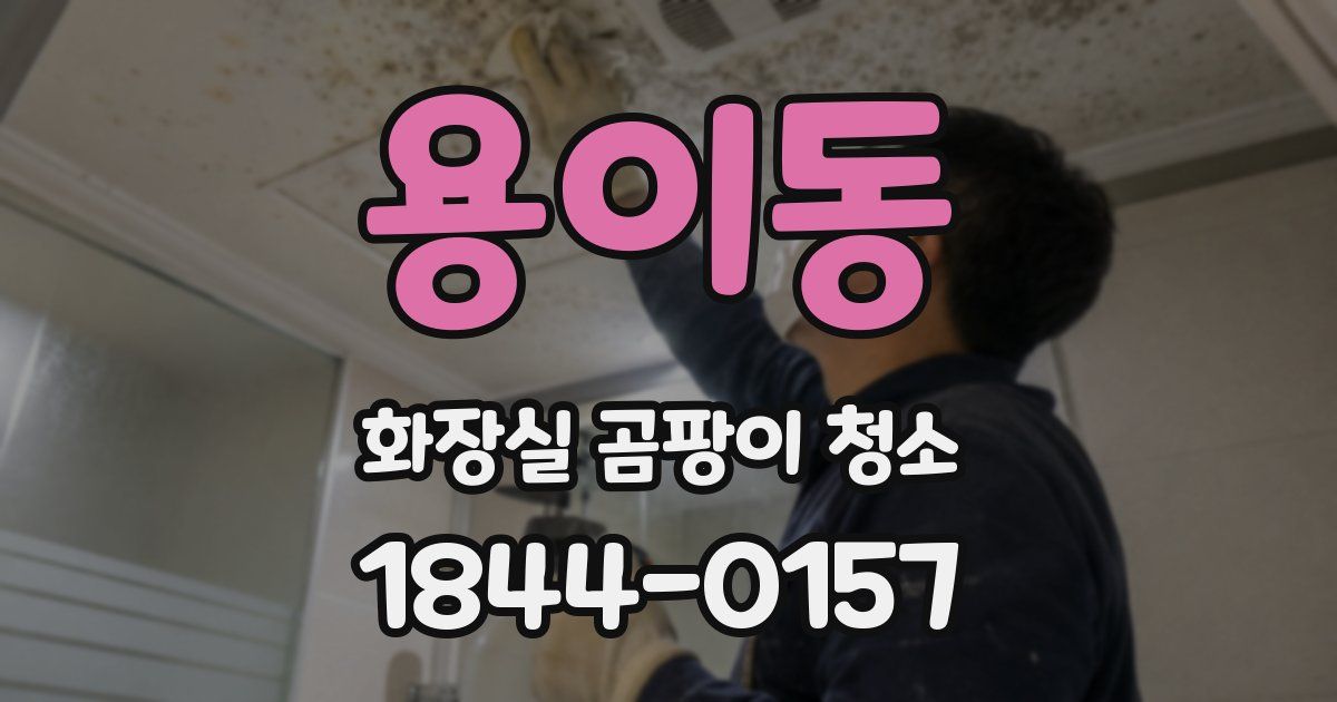 용이동 화장실 곰팡이 청소