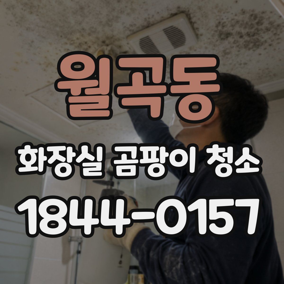 월곡동 화장실 곰팡이 청소
