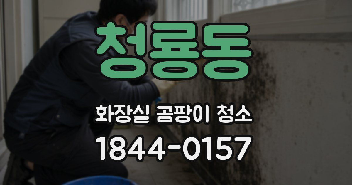 청룡동 화장실 곰팡이 청소