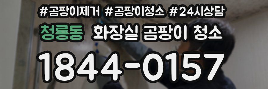 청룡동 화장실 곰팡이 청소
