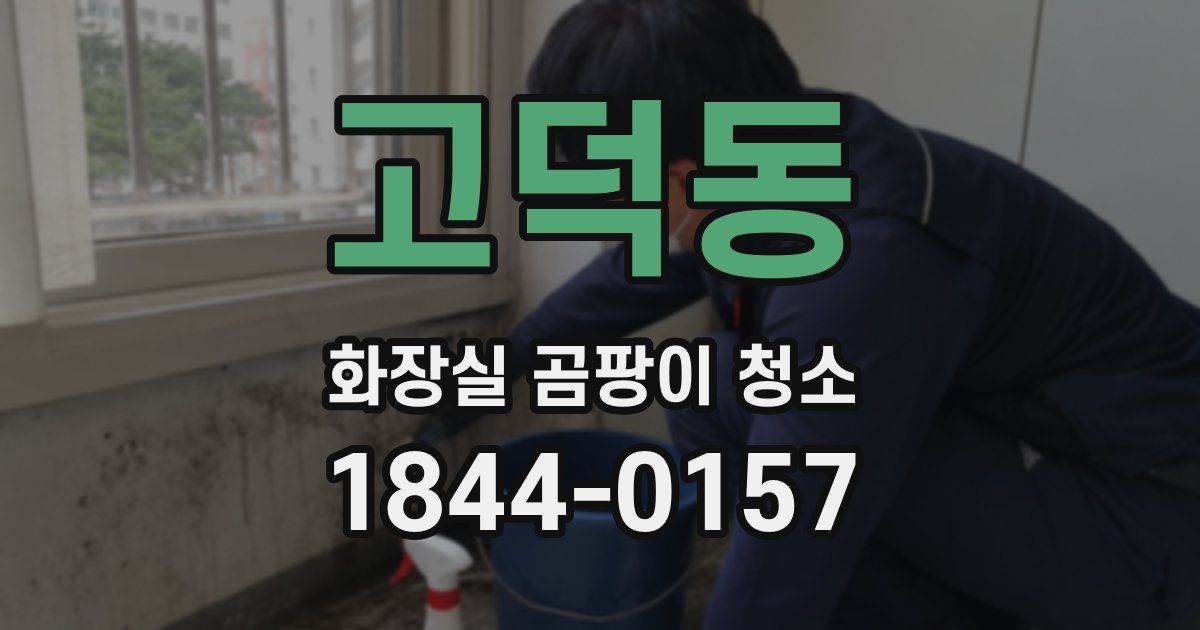 고덕동 화장실 곰팡이 청소