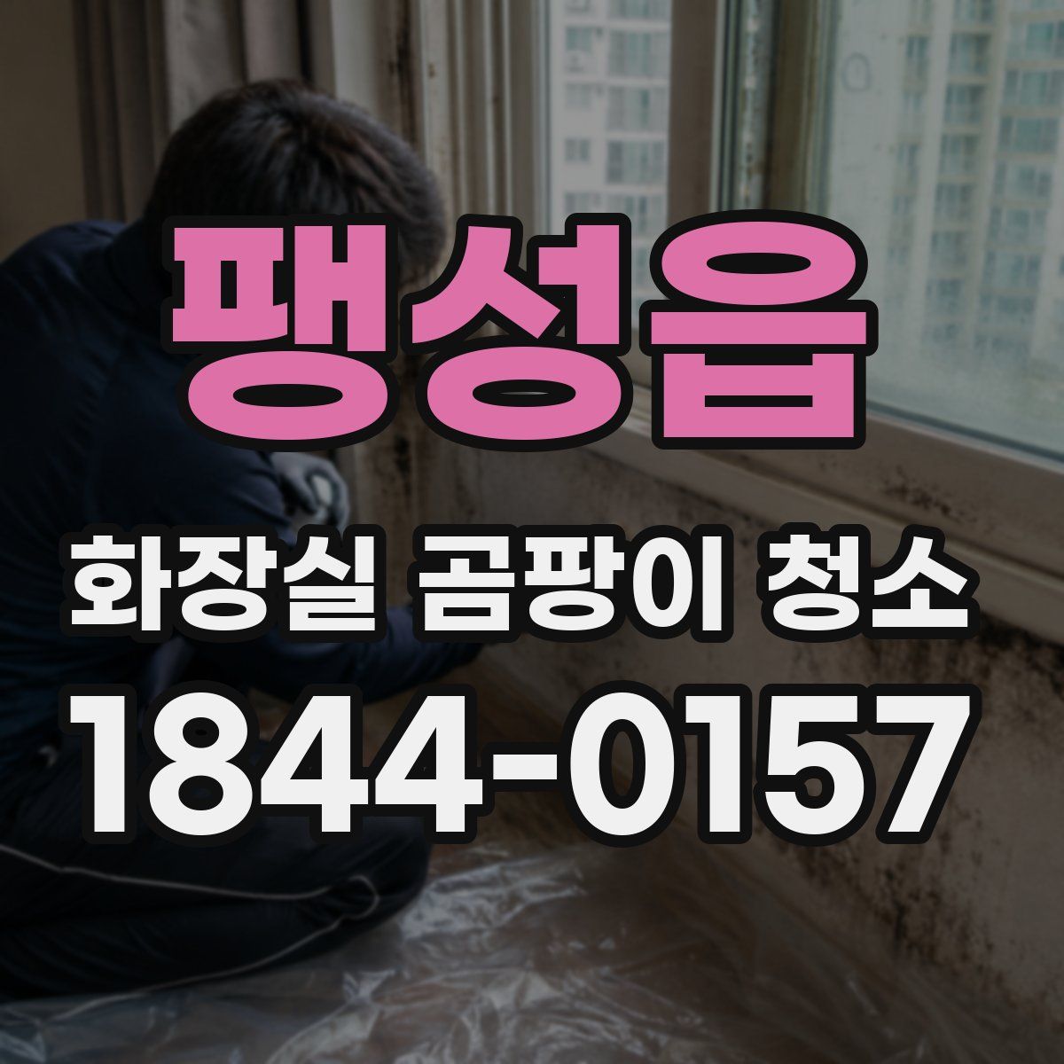 팽성읍 화장실 곰팡이 청소