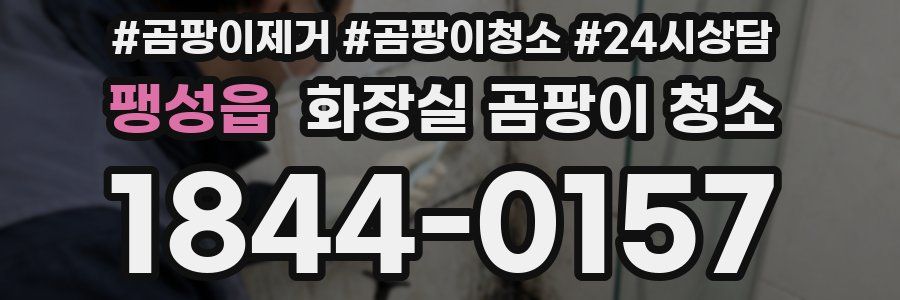 팽성읍 화장실 곰팡이 청소
