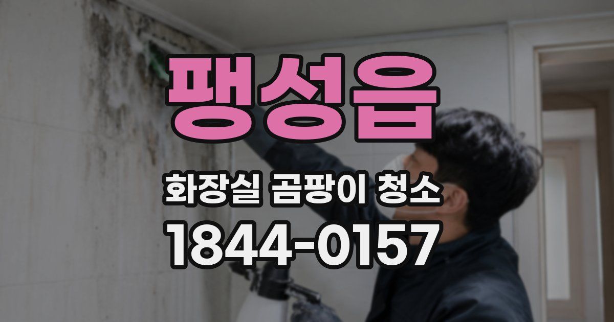 팽성읍 화장실 곰팡이 청소