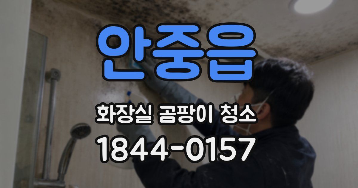 안중읍 화장실 곰팡이 청소