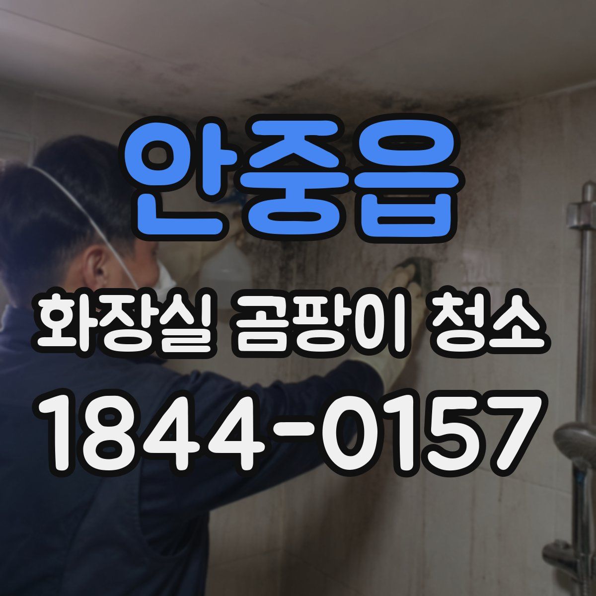 안중읍 화장실 곰팡이 청소
