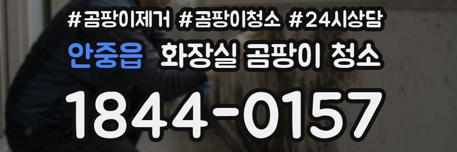 안중읍 화장실 곰팡이 청소
