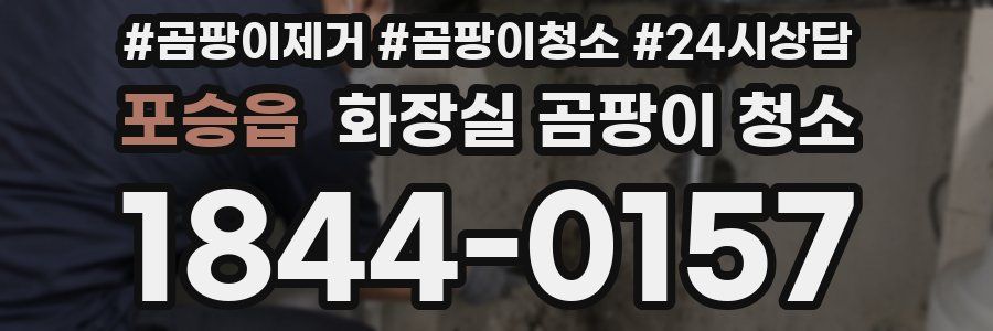 포승읍 화장실 곰팡이 청소