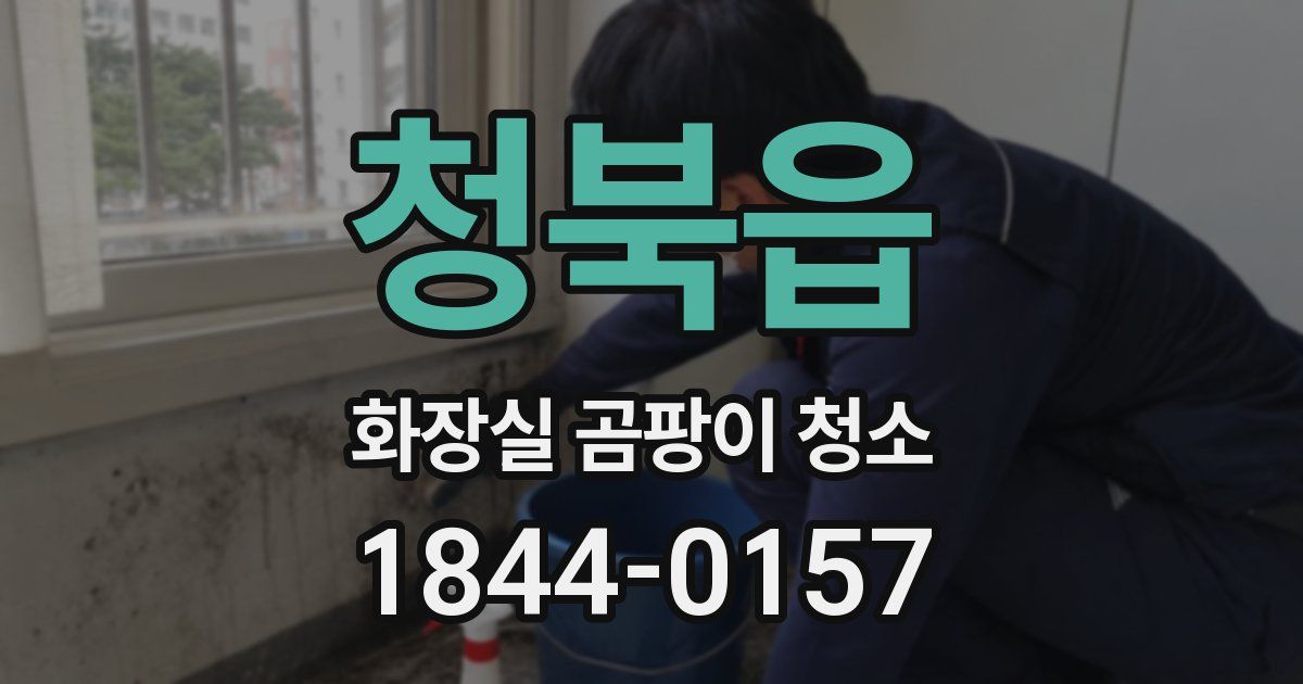 청북읍 화장실 곰팡이 청소