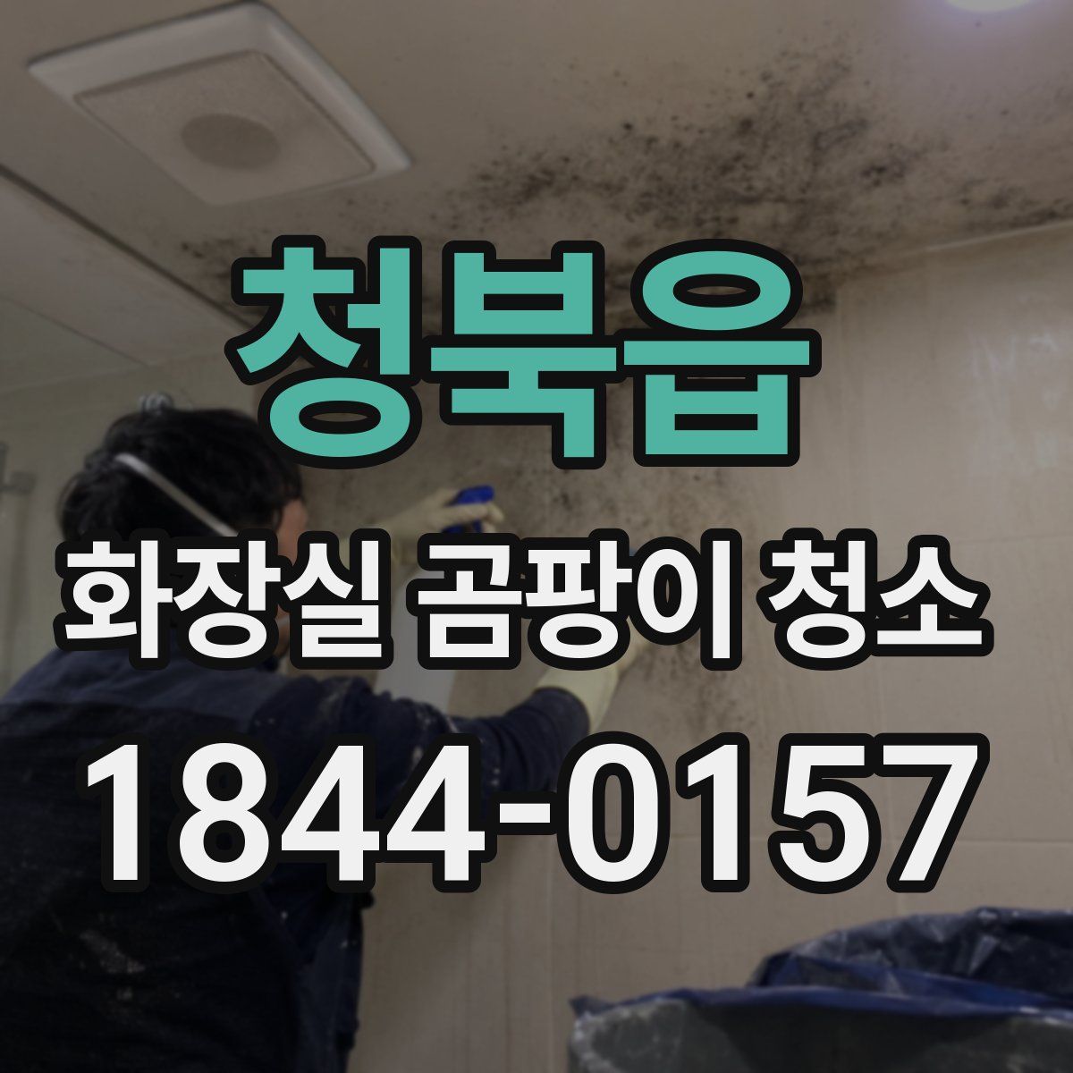 청북읍 화장실 곰팡이 청소