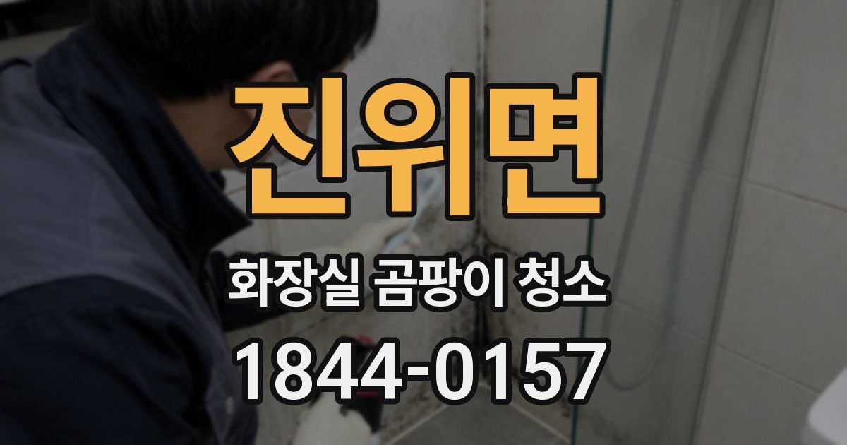 진위면 화장실 곰팡이 청소