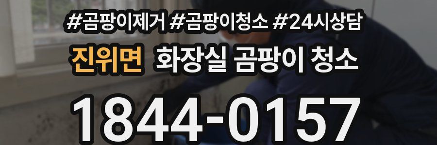 진위면 화장실 곰팡이 청소