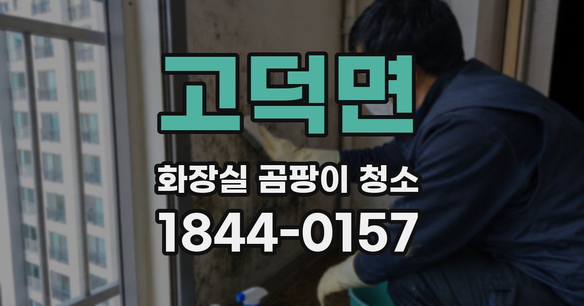 고덕면 화장실 곰팡이 청소