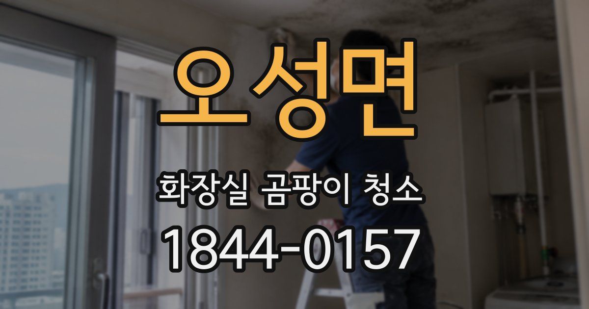 오성면 화장실 곰팡이 청소