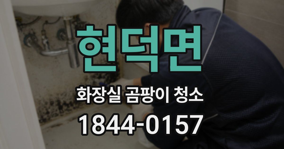 현덕면 화장실 곰팡이 청소