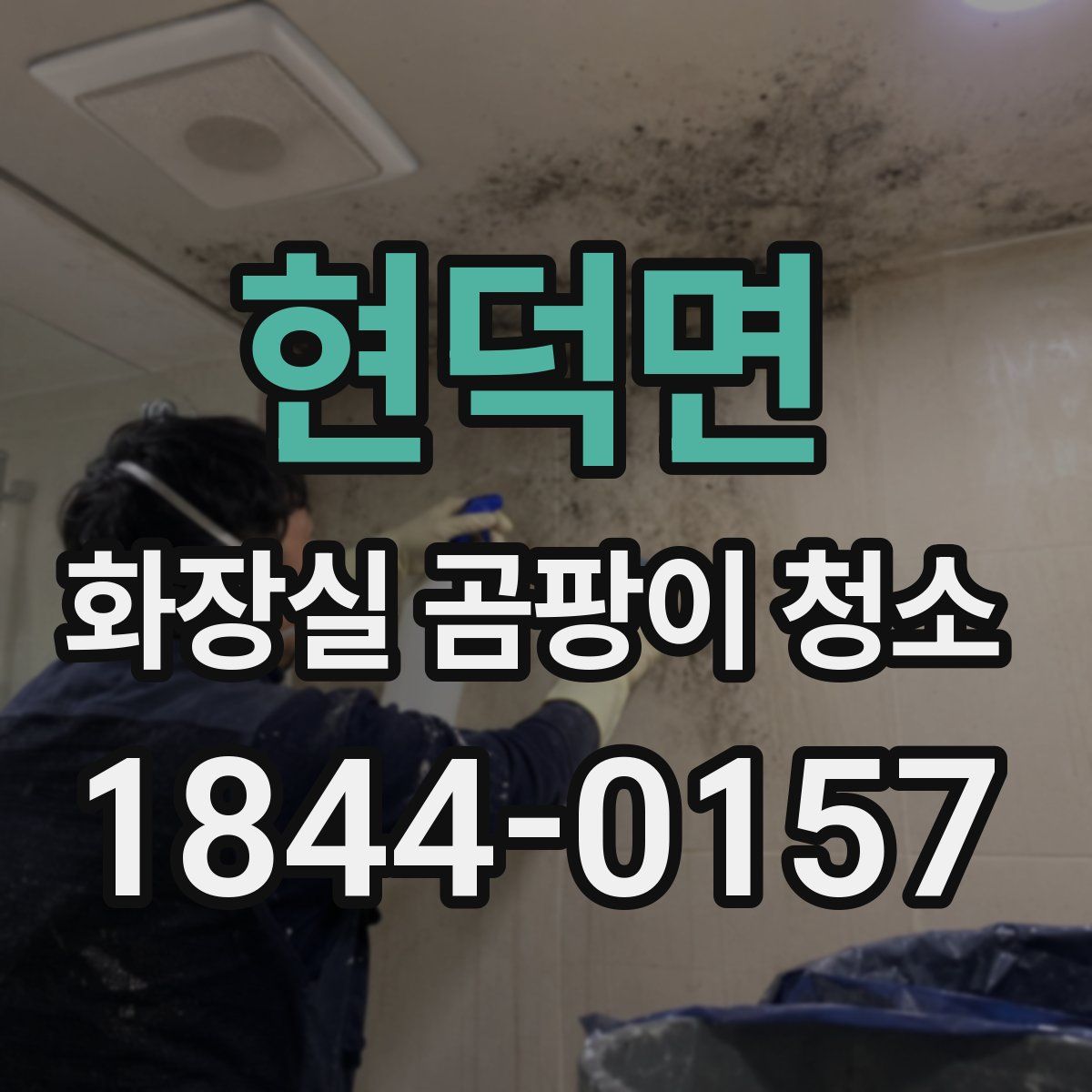 현덕면 화장실 곰팡이 청소
