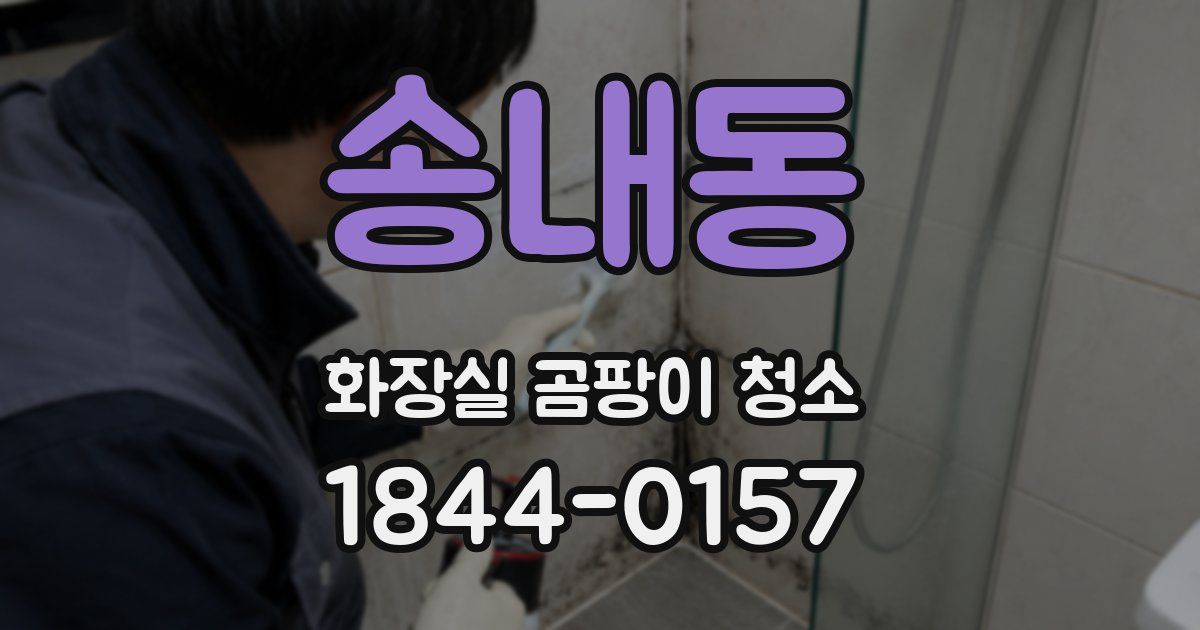 송내동 화장실 곰팡이 청소