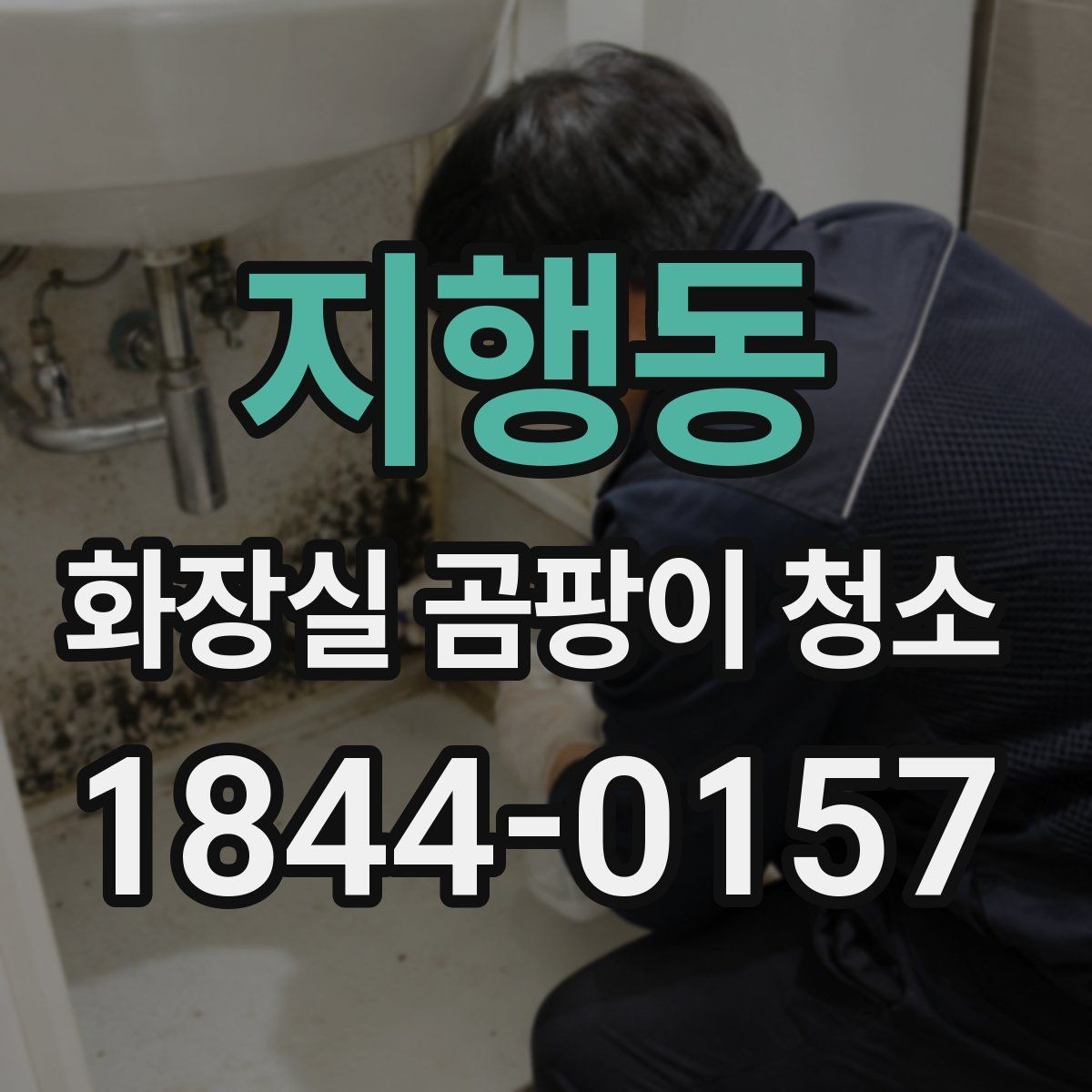 지행동 화장실 곰팡이 청소 환기 습관만 바꿔도 차이 나는 포인트