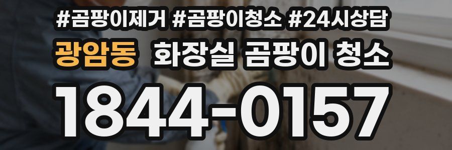 광암동 화장실 곰팡이 청소