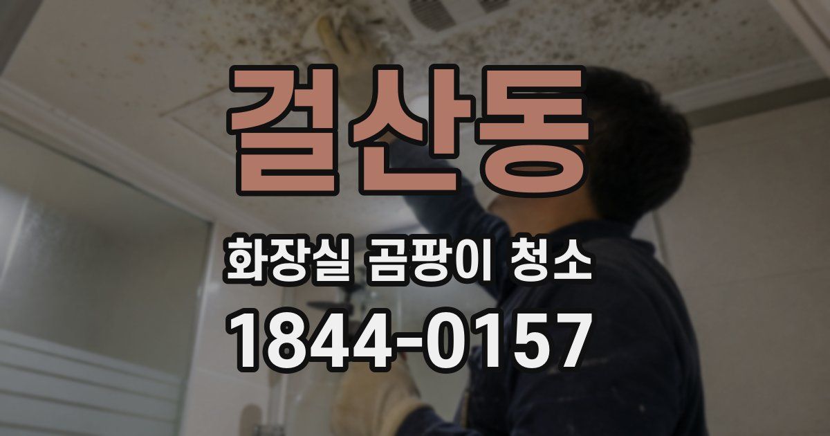 걸산동 화장실 곰팡이 청소