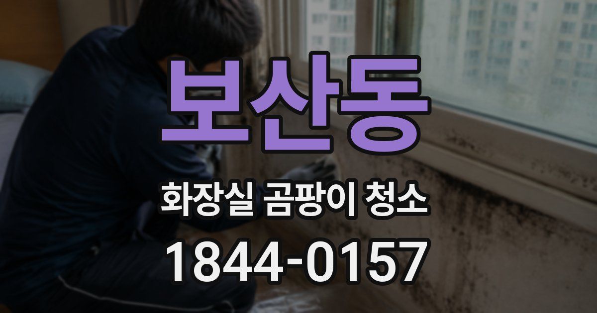 보산동 화장실 곰팡이 청소