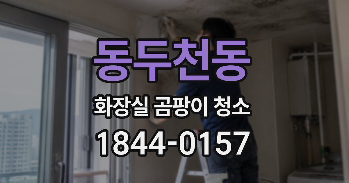 동두천동 화장실 곰팡이 청소