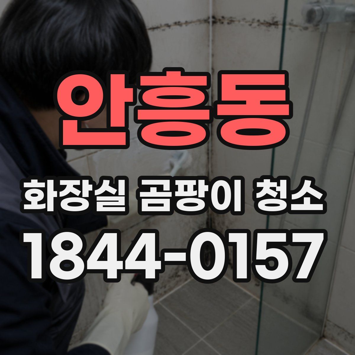 안흥동 화장실 곰팡이 청소