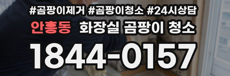 안흥동 화장실 곰팡이 청소