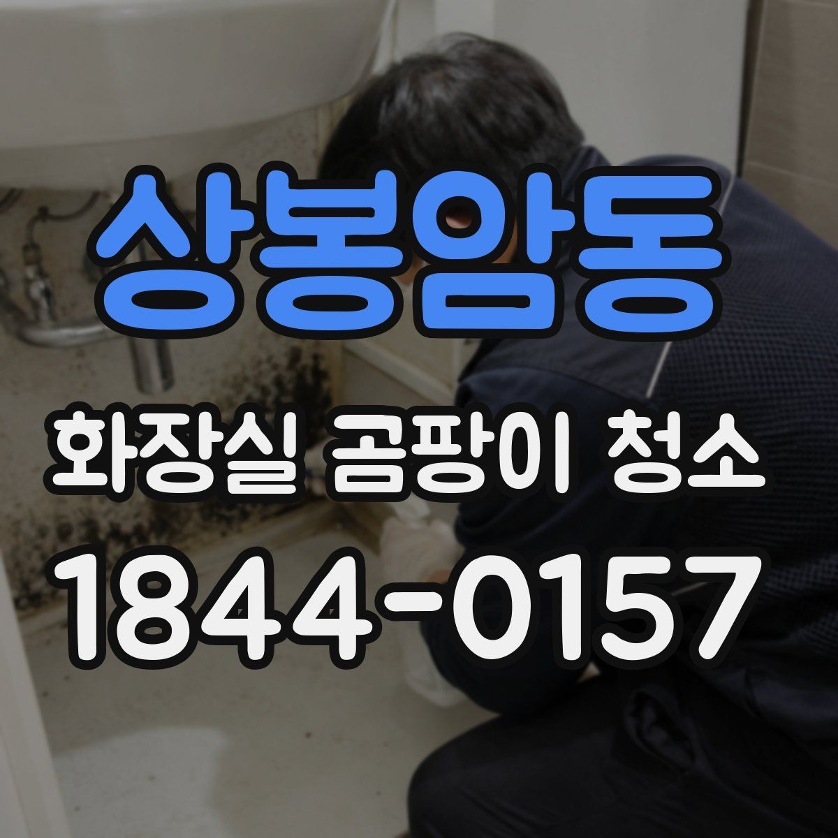 상봉암동 화장실 곰팡이 청소 브러시와 솔을 고를 때 확인할 기준