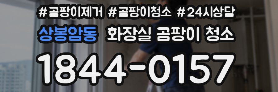 상봉암동 화장실 곰팡이 청소