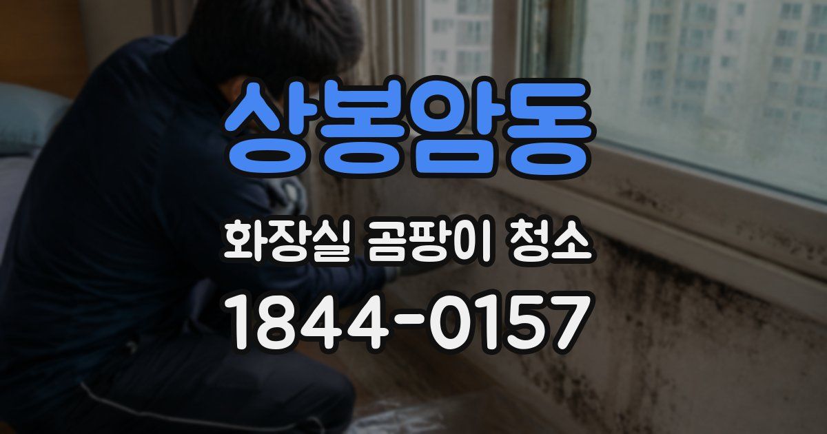 상봉암동 화장실 곰팡이 청소