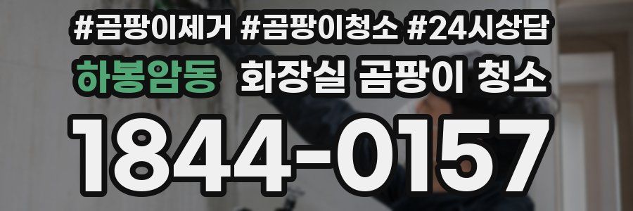 하봉암동 화장실 곰팡이 청소