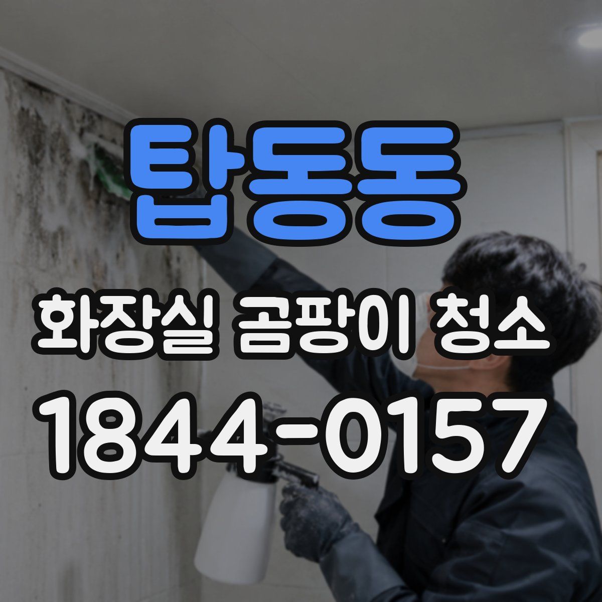 탑동동 화장실 곰팡이 청소