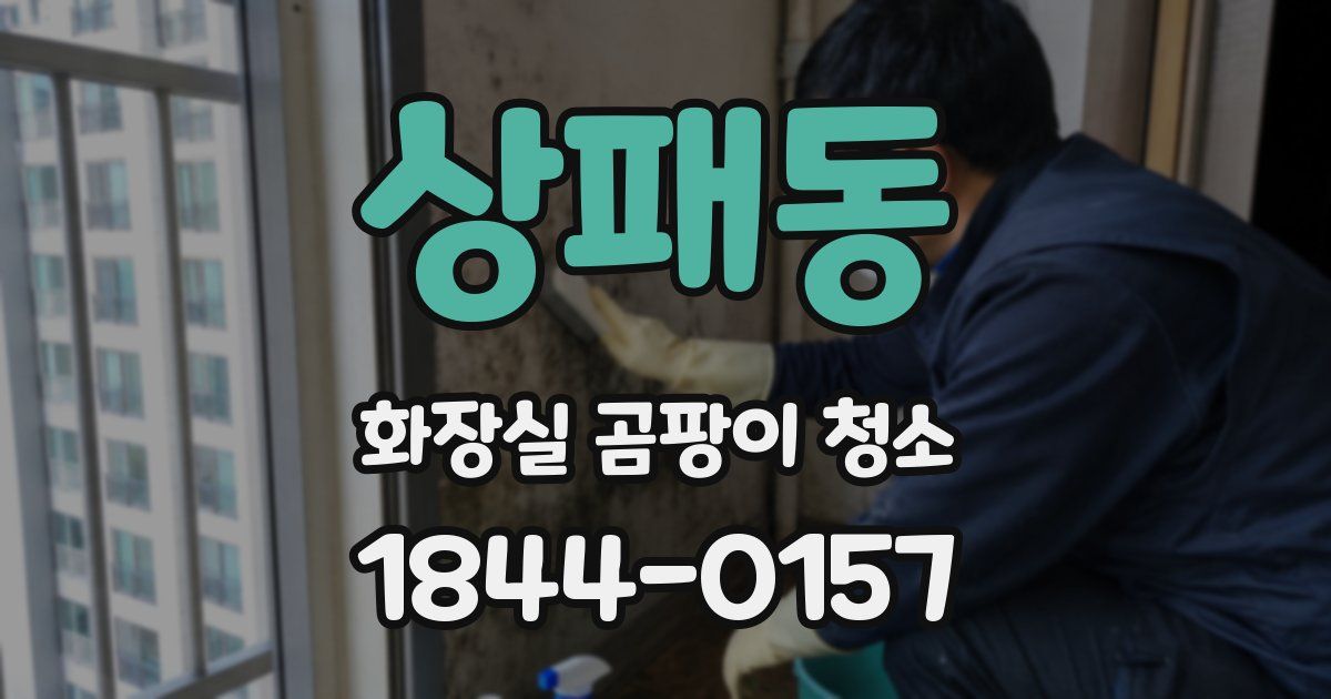 상패동 화장실 곰팡이 청소