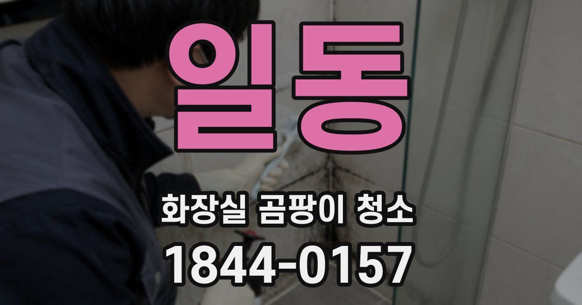 일동 화장실 곰팡이 청소