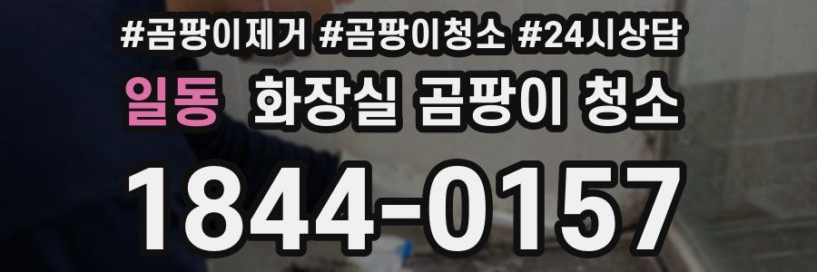 일동 화장실 곰팡이 청소