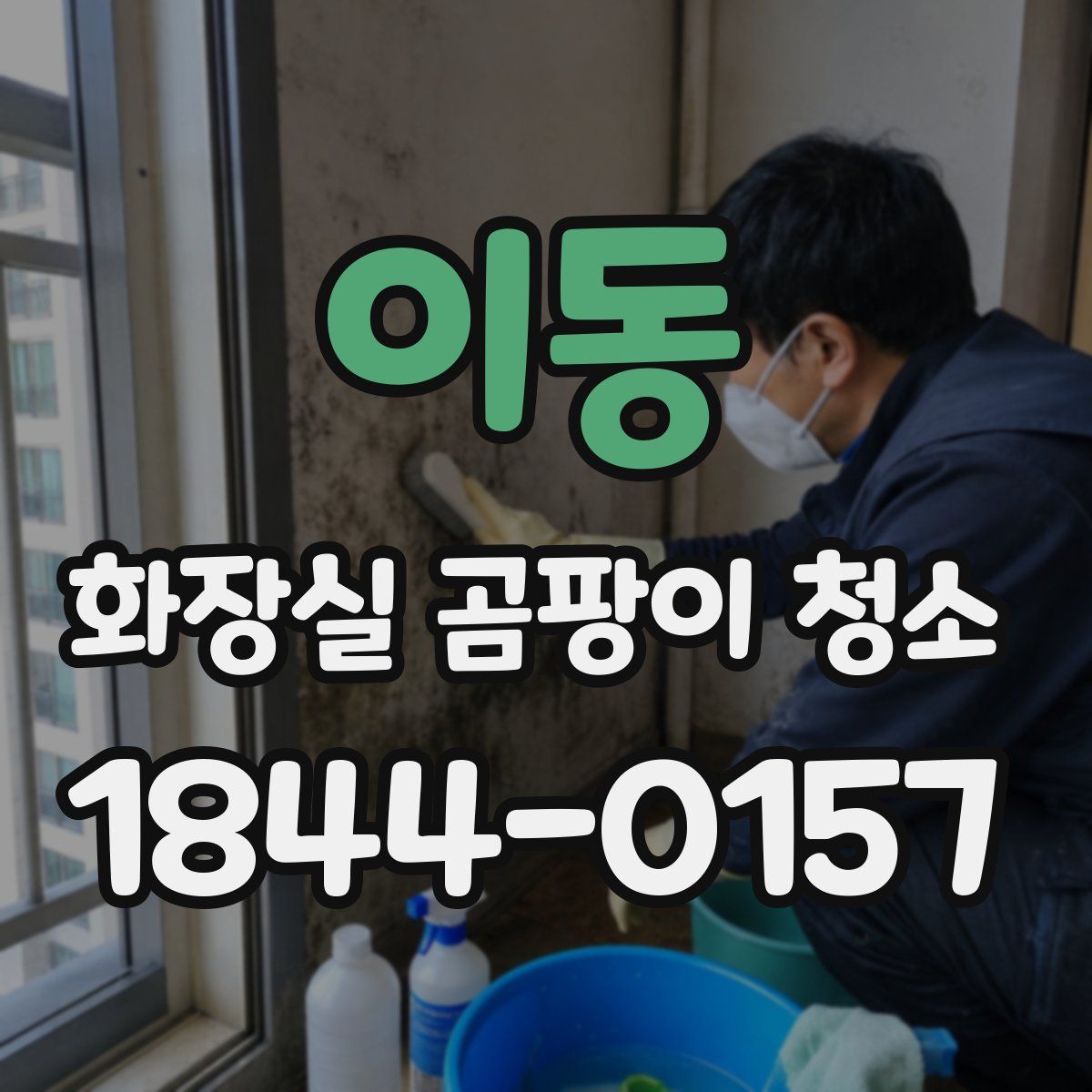 이동 화장실 곰팡이 청소